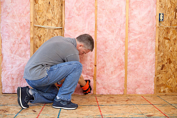 Best Cellulose Insulation in Cumberland, WI