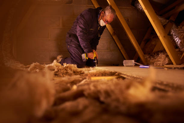 Best Eco-Friendly Insulation in Cumberland, WI